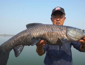 湖北冬天垂钓技巧（湖北冬天垂钓技巧分享）