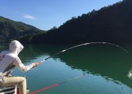 冬季雨天野钓鱼技巧（钓鱼技巧与经验分享｜冬季雨天钓鱼攻略）