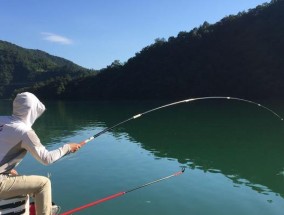 冬季雨天野钓鱼技巧（钓鱼技巧与经验分享｜冬季雨天钓鱼攻略）