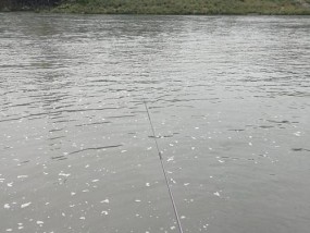 秋雨中钓鱼的三大技巧（把握季节与环境）