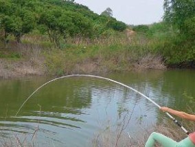 冬季野河流水钓鱼技巧（掌握冬季河流钓鱼的技巧）