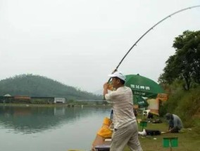 晚秋东北风钓鱼技巧（享受钓鱼乐趣的秘诀）