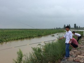 春天来临，钓鱼技巧大揭秘（开春野钓）