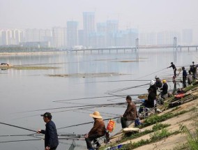 晴天钓鱼打窝的技巧与方法（享受阳光下的渔获乐趣）