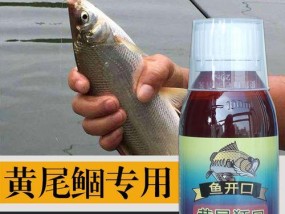 鱼饵味道调配技巧大揭秘（让你成为钓鱼高手的口诀方法）