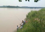 夏天大太阳下钓鱼的技巧与方法（夏日钓鱼）