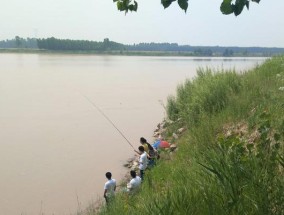 夏天大太阳下钓鱼的技巧与方法（夏日钓鱼）