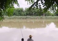 秋雨钓鱼调漂技巧（揭秘雨中钓鱼的窍门）