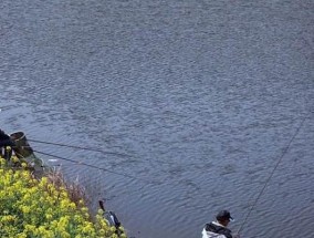 潼湖砖厂钓鱼技巧（掌握这些技巧）