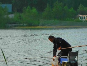 掌握海竿钓鱼技巧的全过程（从准备到收竿）