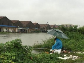 深山暴雨钓鱼技巧（雨中寻宝）