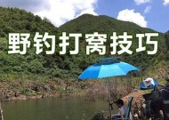 新疆水库野钓技巧（掌握技巧）