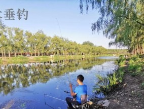 水库大风天钓鱼技巧（钓鱼技巧）