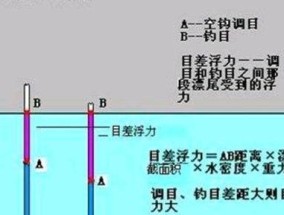 晚上钓鱼技巧之调漂最佳方法（如何使用适当的钓漂技巧提高晚上钓鱼的成功率）