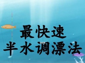 野钓电子调漂正确方法与技巧（以电子调漂技巧提升野钓的成功率）