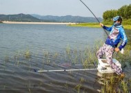 以野钓钓鲤鱼起竿控鱼技巧（野钓鲤鱼）