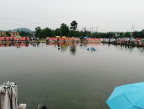 家庭小池塘钓鱼的技巧与心得（让你在家也能享受钓鱼的乐趣）