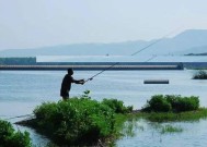 张麻子钓鱼技巧大揭秘（掌握张麻子钓鱼技巧）