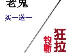 提高钓鱼技巧的可视鱼竿使用方法（实用技巧帮助你成为钓鱼高手）