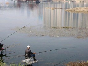 《野水沟钓鱼技巧教学》（掌握技巧）