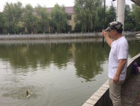 小雨中垂钓技巧（享受小雨中的钓鱼乐趣）