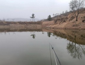 野塘钓鱼技巧大揭秘（掌握这些钓鱼技巧）