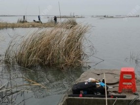 寒冬河道钓鱼技巧与方法（应对寒冷天气）