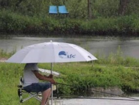 夏季雨天野钓鲫鱼的技巧和技巧（掌握这些技巧）