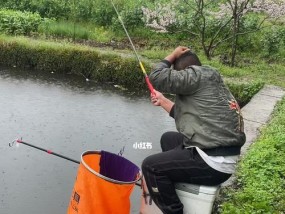 夏季长时间阴雨下的钓鱼技巧（应对阴雨天气的钓鱼技巧与经验）