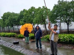 雨天钓鱼的技巧与心得（以小水库为背景）