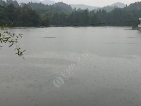 夏塘水库钓鱼技巧（掌握夏塘水库钓鱼技巧）