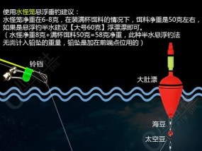 提升抛竿钓白条技巧的方法与教程（掌握竿技）