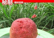 蚯蚓钓鱼的技巧与饵料配方（大自然中的黄金组合）