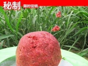 蚯蚓钓鱼的技巧与饵料配方（大自然中的黄金组合）