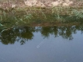 夏季早晨野钓技巧（享受早晨宁静）