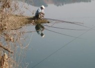 清明前后野钓鲢鳙技巧（清明钓鲢鳙）