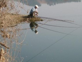 清明前后野钓鲢鳙技巧（清明钓鲢鳙）