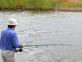 闸口水泥墩钓鱼技巧（掌握水泥墩钓鱼的关键步骤）