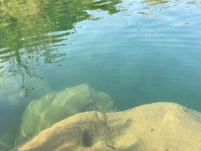 渭河急流中海竿钓鱼技巧（掌握关键技巧）