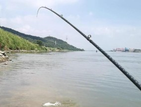 通江河道野钓鳊鱼技巧（掌握关键技巧）