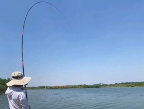 夏末水库钓鱼技巧（掌握夏末水库钓鱼的窍门）