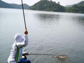 夏季夜间野钓的技巧和方法（提升成功率的关键点）