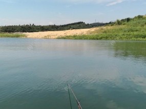 探秘清水水库涨水野钓技巧（钓友必知的清水水库涨水高招）