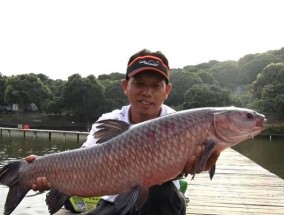 黑坑青鱼夜钓选位技巧（钓点选择关键在于光线和风向）