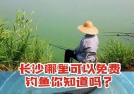 人工河流钓鱼技巧教学（掌握成功钓鱼的关键技巧）