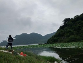 深水塘钓鱼技巧（掌握钓鱼技巧）