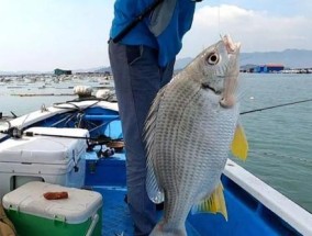 长流水钓鱼技巧（小溪中的捕鱼诀窍）