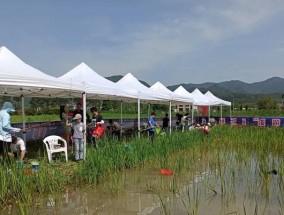 五月五一钓鱼技巧（享受钓鱼乐趣五一放松之选）