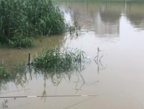 暴雨水库钓鱼技巧有哪些？如何应对恶劣天气提高钓鱼成功率？