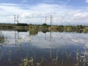 野河涨水后钓鱼技巧（如何应对涨水情况）